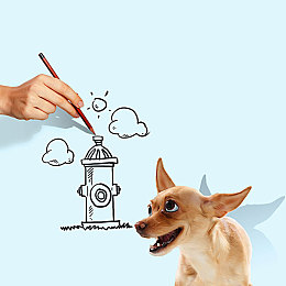 404黃色軟件：網(wǎng)絡(luò)毒瘤揭秘：揭秘“404”色情軟件黑幕-5