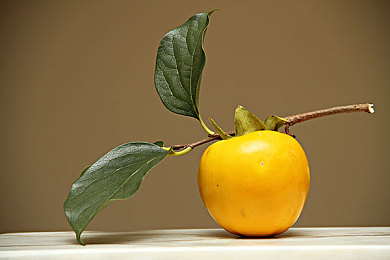 99熱這里有：奇幻世界等你來(lái)，免費(fèi)暢玩！-3