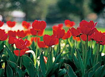 b8yy：創(chuàng)新機(jī)器人問世，中國AI產(chǎn)業(yè)再突破-3