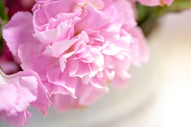 404黃臺(tái)：揭秘“404黃臺(tái)”：網(wǎng)絡(luò)安全新銳崛起-2